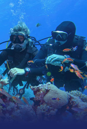 Paquetes vacacionales practicas de buceo