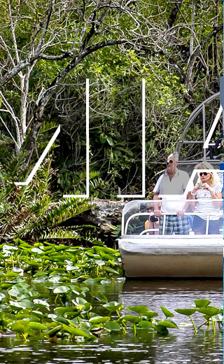 Visiatar Parque Nacional de los Everglades desde Caracas